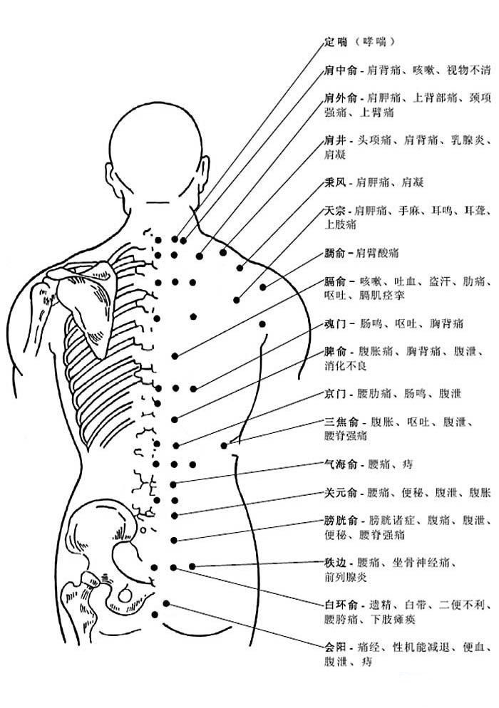 人体后背穴道图解知识详解