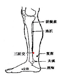 日常牢记 中医六大救命穴