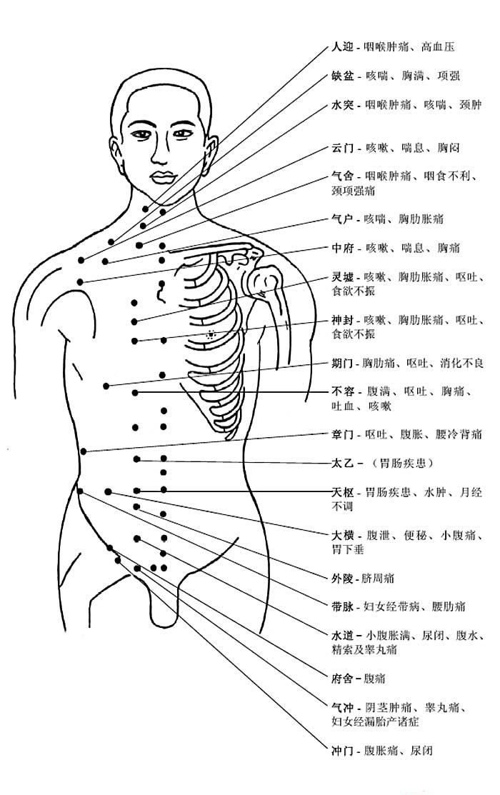 腹部胸部穴位