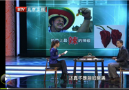 20120527养生堂视频：于康讲解酸甜苦辣的危害