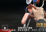 20121208北京卫视养生堂：周利群讲从尿液看健康