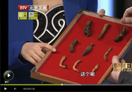 20121213北京卫视养生堂：金世元翟胜利讲人参