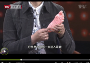 20130507养生堂视频：韩洪讲脚与健康的关系