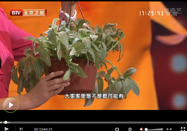 20130506养生堂视频：韩洪讲通过脚看健康