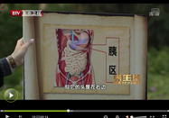 20130512养生堂视频：付国兵讲地机穴的作用