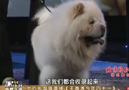 20100424北京卫视养生堂：尹佳教你宠物过敏怎么办